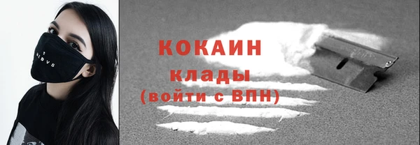 дмт Гусь-Хрустальный