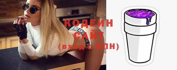 дмт Гусь-Хрустальный