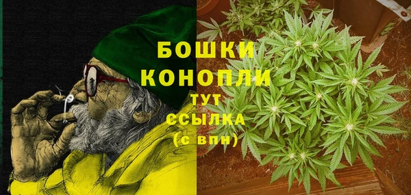 spice Гусев