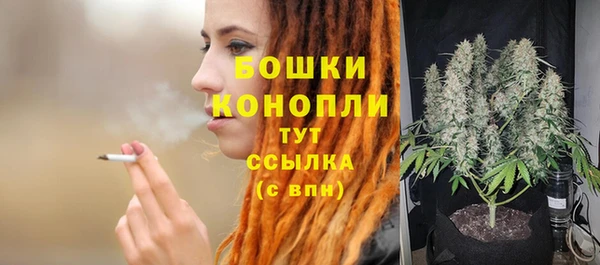 spice Гусев